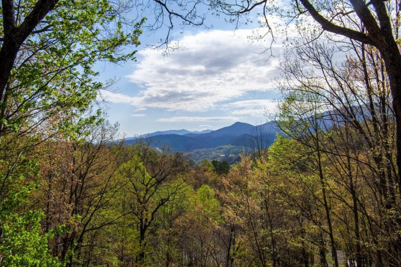 Bear View Chalet With Hot Tub And Near Ober Gatlinburg Eksteriør billede